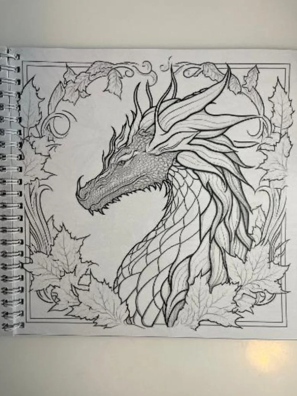 COLOR-7 Dragon Adult Coloring Book